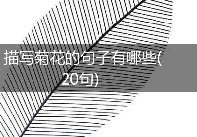 描写菊花的句子有哪些(20句)