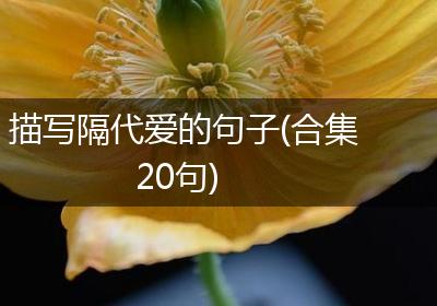 描写隔代爱的句子(合集20句)