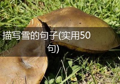 描写雪的句子(实用50句)