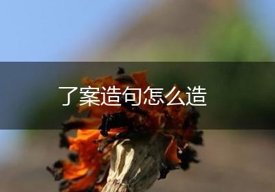 了案造句怎么造