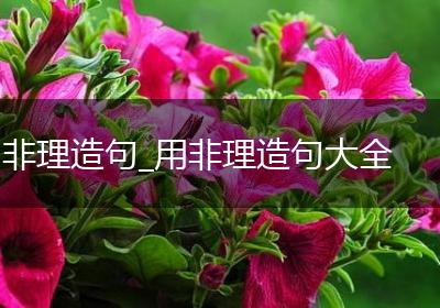 非理造句_用非理造句大全
