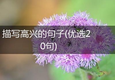 描写高兴的句子(优选20句)