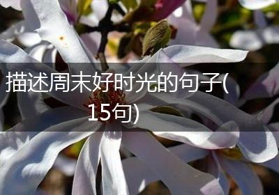 描述周末好时光的句子(15句)
