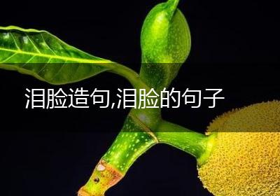 泪脸造句,泪脸的句子