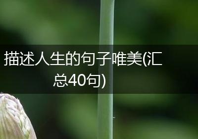 描述人生的句子唯美(汇总40句)