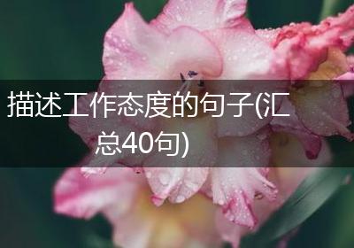 描述工作态度的句子(汇总40句)
