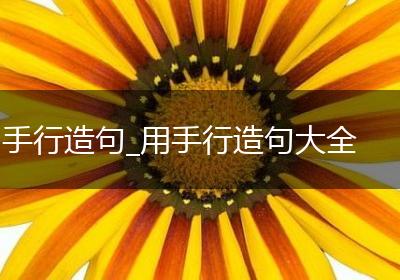 手行造句_用手行造句大全
