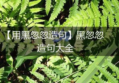 【用黑忽忽造句】黑忽忽造句大全