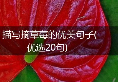 描写摘草莓的优美句子(优选20句)