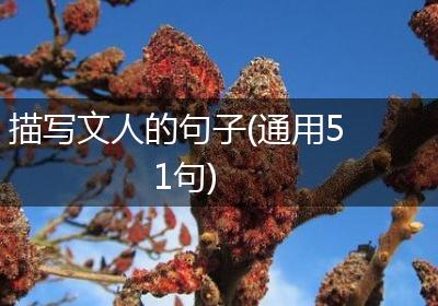 描写文人的句子(通用51句)