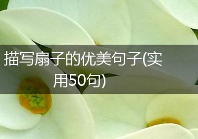 描写扇子的优美句子(实用50句)