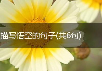 描写悟空的句子(共6句)