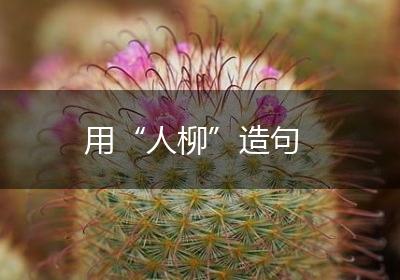用“人柳”造句