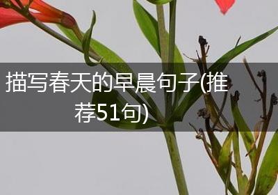 描写春天的早晨句子(推荐51句)