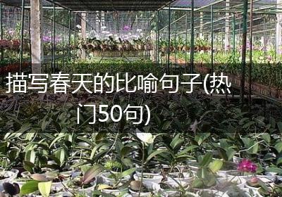 描写春天的比喻句子(热门50句)