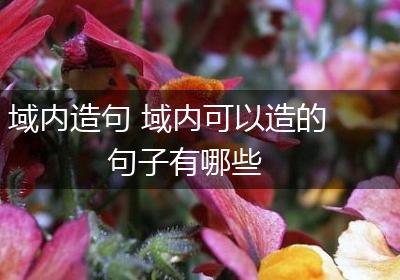 域内造句 域内可以造的句子有哪些