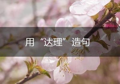 用“达理”造句