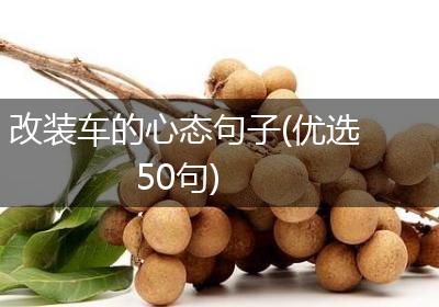 改装车的心态句子(优选50句)