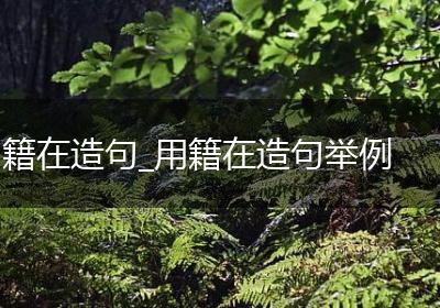 籍在造句_用籍在造句举例
