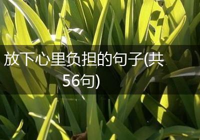 放下心里负担的句子(共56句)