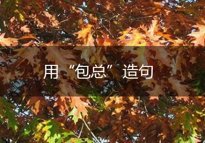 用“包总”造句