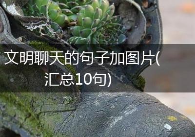 文明聊天的句子加图片(汇总10句)