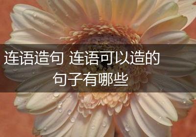 连语造句 连语可以造的句子有哪些