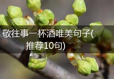 敬往事一杯酒唯美句子(推荐10句)