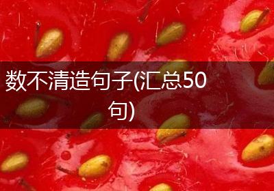 数不清造句子(汇总50句)