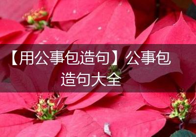 【用公事包造句】公事包造句大全