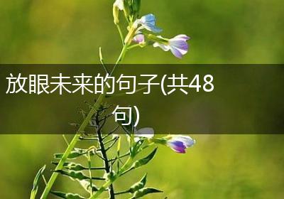 放眼未来的句子(共48句)