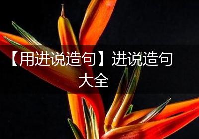 【用进说造句】进说造句大全