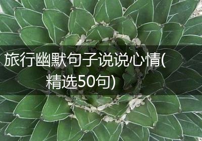 旅行幽默句子说说心情(精选50句)