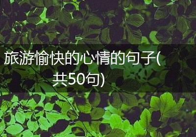 旅游愉快的心情的句子(共50句)