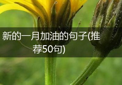 新的一月加油的句子(推荐50句)