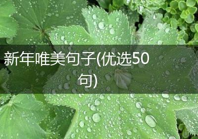新年唯美句子(优选50句)