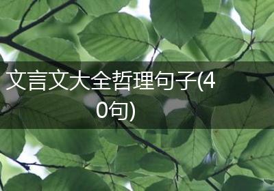 文言文大全哲理句子(40句)