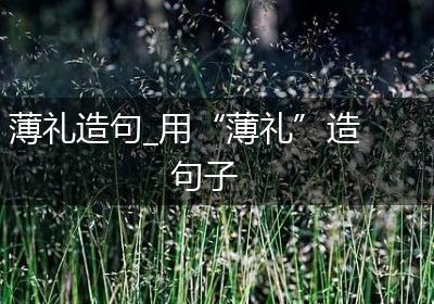 薄礼造句_用“薄礼”造句子