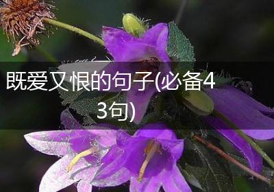既爱又恨的句子(必备43句)