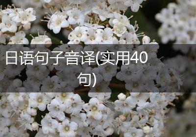 日语句子音译(实用40句)