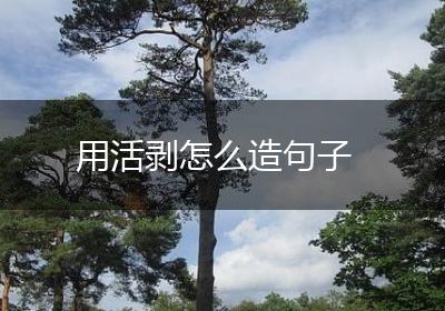 用活剥怎么造句子