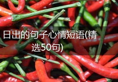 日出的句子心情短语(精选50句)