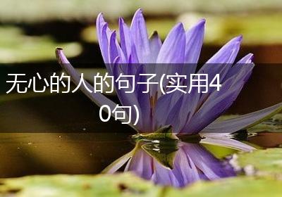 无心的人的句子(实用40句)