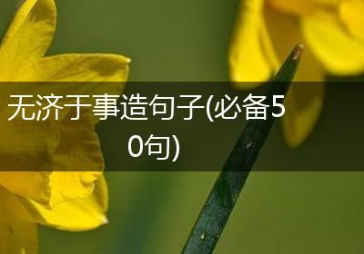 无济于事造句子(必备50句)