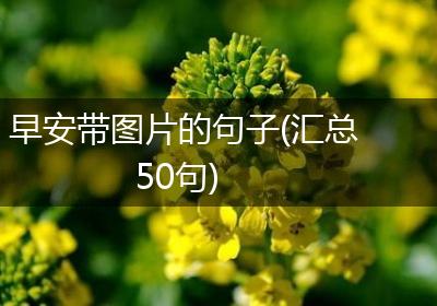 早安带图片的句子(汇总50句)
