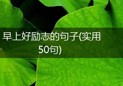 早上好励志的句子(实用50句)