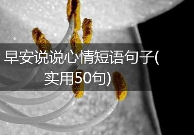 早安说说心情短语句子(实用50句)