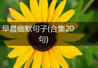 早晨幽默句子(合集20句)