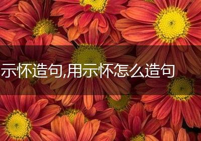 示怀造句,用示怀怎么造句