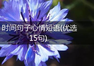 时间句子心情短语(优选15句)